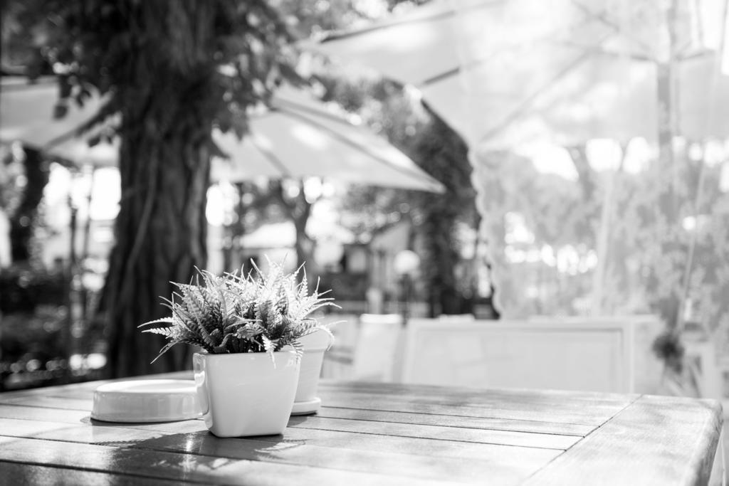 B&B Isabella Milano Marittima Dış mekan fotoğraf